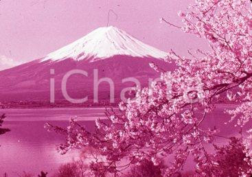 Fotografia d epoca originale 1970ca JAPAN Beautiful Mt. Fuji in the spring 35 mm VINTAGE SLIDE 1