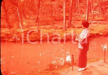 Fotografia d epoca originale 1970ca KYOTO JP The Moss Temple 35 mm VINTAGE SLIDE 1