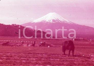Fotografia d epoca originale 1970ca JAPAN Beautiful Mt. Fuji in early spring 35 mm VINTAGE SLIDE 1