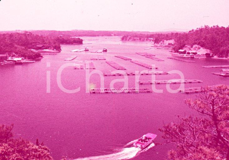 Fotografia d epoca originale 1970ca JAPAN ISESHIMA National Park The raft of pearlculture VINTAGE SLIDE 1
