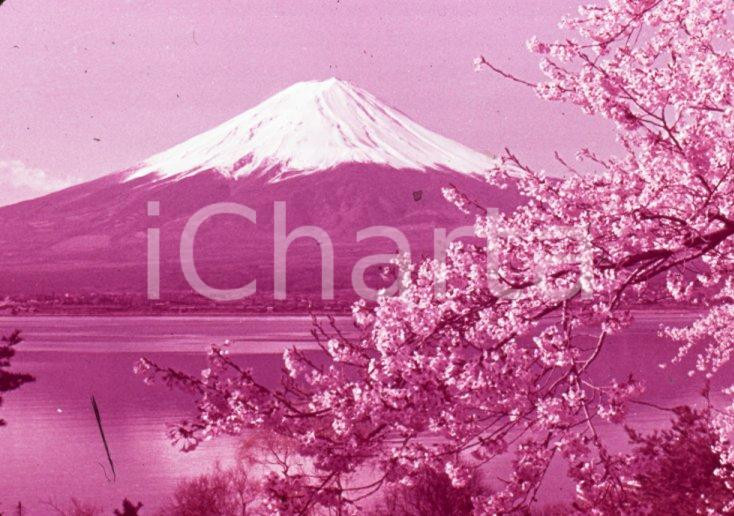 Fotografia d epoca originale 1970ca JAPAN Beautiful Mt. Fuji in the spring 35 mm VINTAGE SLIDE 1