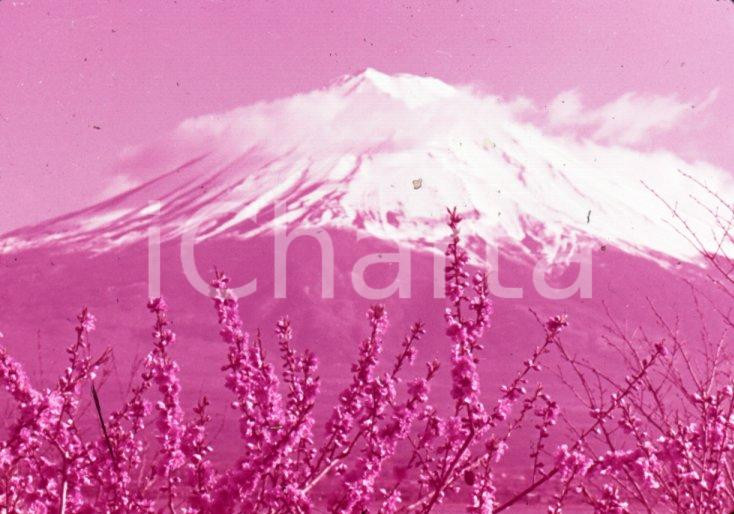 Fotografia d epoca originale 1970ca JAPAN Mt. Fuji and the peach blossoms 35 mm VINTAGE SLIDE 1