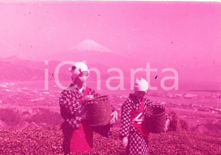 Fotografia d epoca originale 1970ca JAPAN Mt. Fuji from Nibondaira Hill 35 mm VINTAGE SLIDE 1