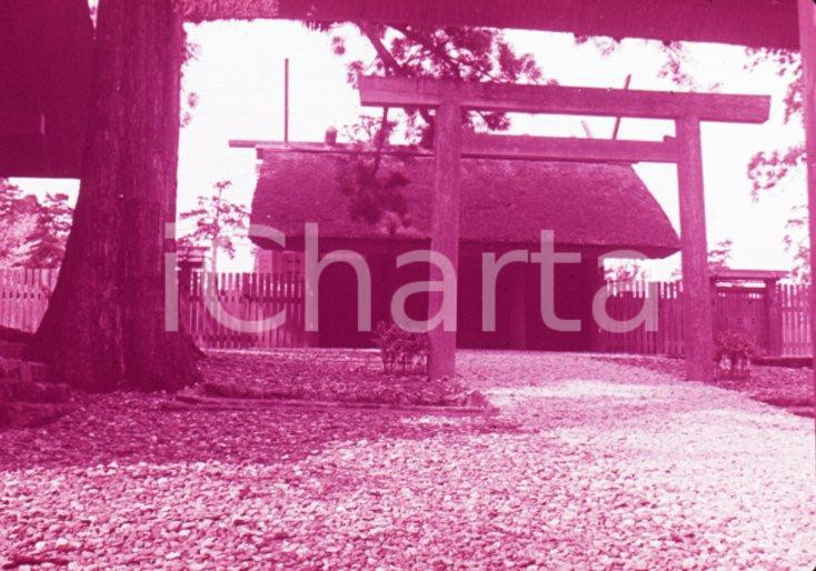 Fotografia d epoca originale 1970ca ISE SHIMA National Park The sanctuary IseShrine 35 mm VINTAGE SLIDE 1