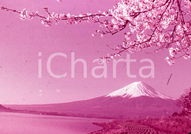Fotografia d epoca originale 1970ca JAPAN Mt. Fuji and cherry blossoms 35 mm VINTAGE SLIDE 1