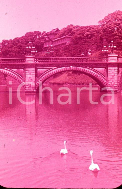 Fotografia d epoca originale 1970ca TOKYO The Imperial Palace 35mm VINTAGE SLIDE 1