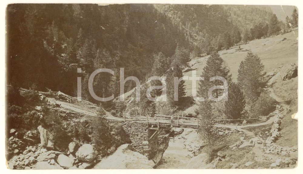 Fotografia d epoca originale 1910 ca Area di BORMIO / VALFURVA Panorama con ponte  Foto 14x8 cm 1