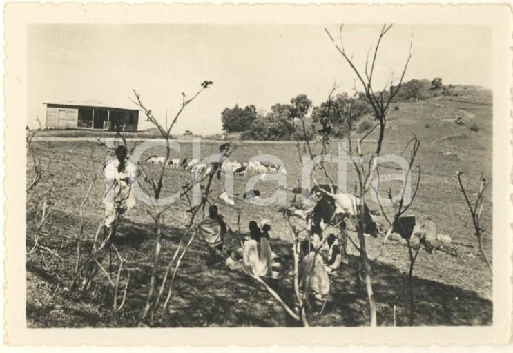 Fotografia d epoca originale 1936 AOI Area di MODAGISCIO SOMALIA Vita quotidiana al villaggio Foto 9x6 cm 1