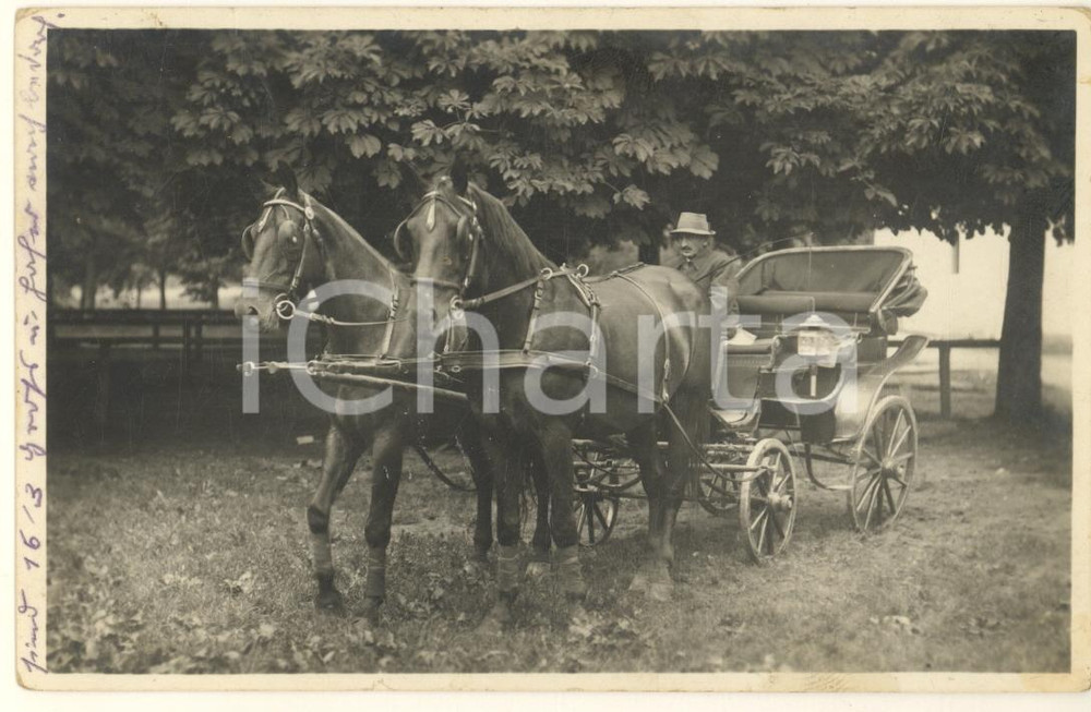 Fotografia d epoca originale 1929 WINDISCHGARSTEN AUSTRIA Calesse con cocchiere Foto COSTUME 14x9 cm 1