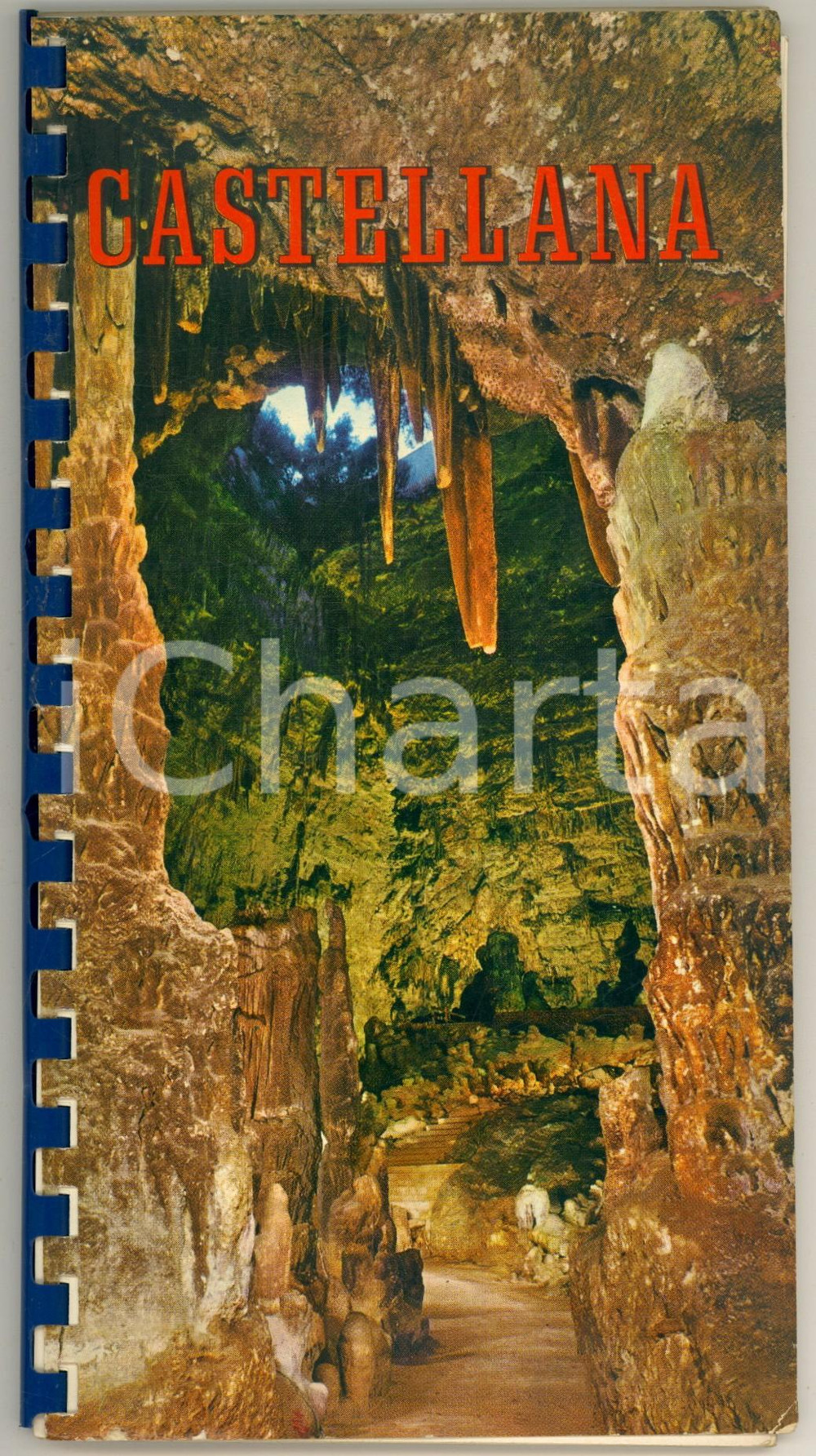 Libro, pubblicazione d epoca 1965 Franco ANELLI  Grotte di Castellana 2 edizione RARO 1