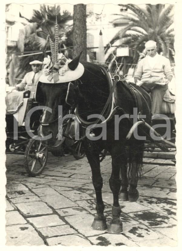 Fotografia d epoca originale Agosto 1958 ALASSIO SV Tradizionali carrozze a cavalli Foto 7x10 cm 1