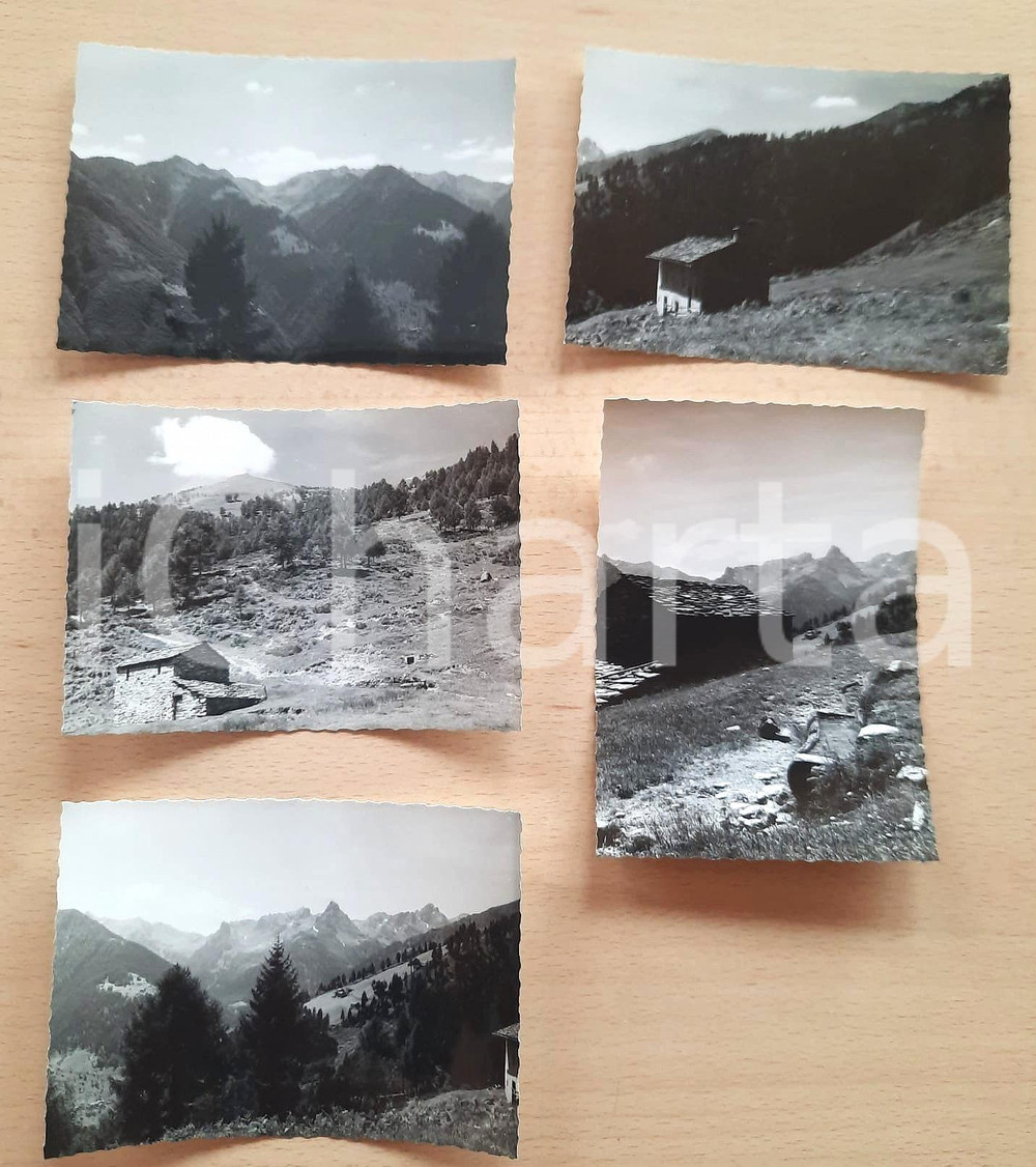 Fotografia d epoca originale Luglio 1957 VAL GEROLA  LARICE e CIANI Vedute panoramiche Lotto 5 foto 10x7 cm 1