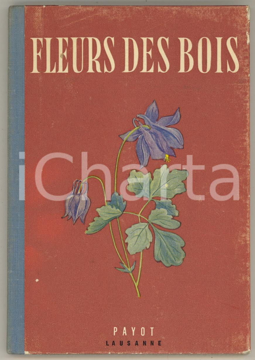 Libro, pubblicazione d epoca 1940 ca Walter RYTZ Fleurs des bois  Petits Atlas de Poche PAYOT 1