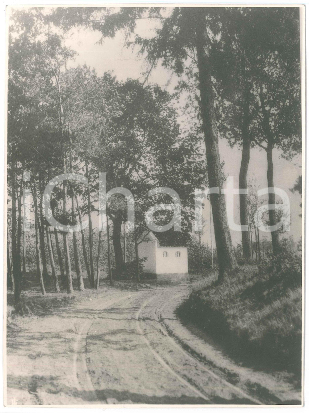 Fotografia d epoca originale 1950 ca LUMMEN BELGIUM Photo Emile JAMINÉE House in the Woods  17x23  cm 1