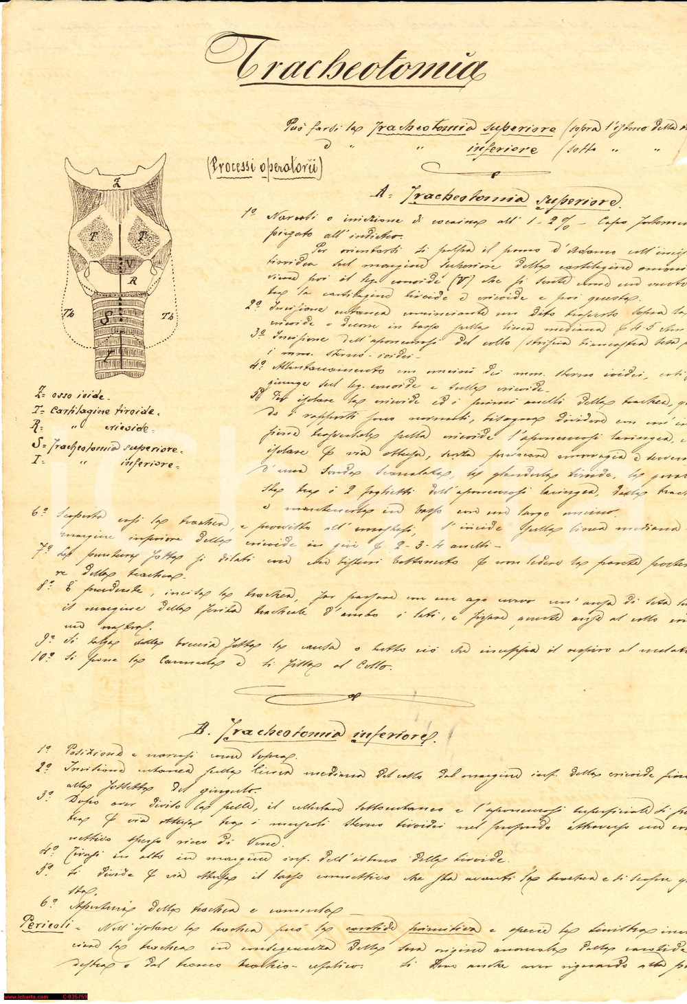 Oggetto da collezione cartaceo 1900 TRACHEOTOMIA SUPERIORE ED INFERIORE appunti manoscritti 1
