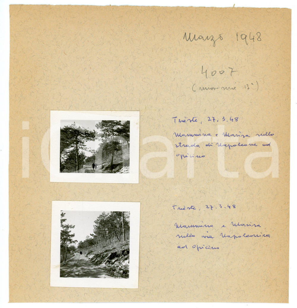 Fotografia d epoca originale Marzo 1948 TRIESTE  OPICINA Via Napoleonica / Strada Vicentina Lotto 2 provini 1