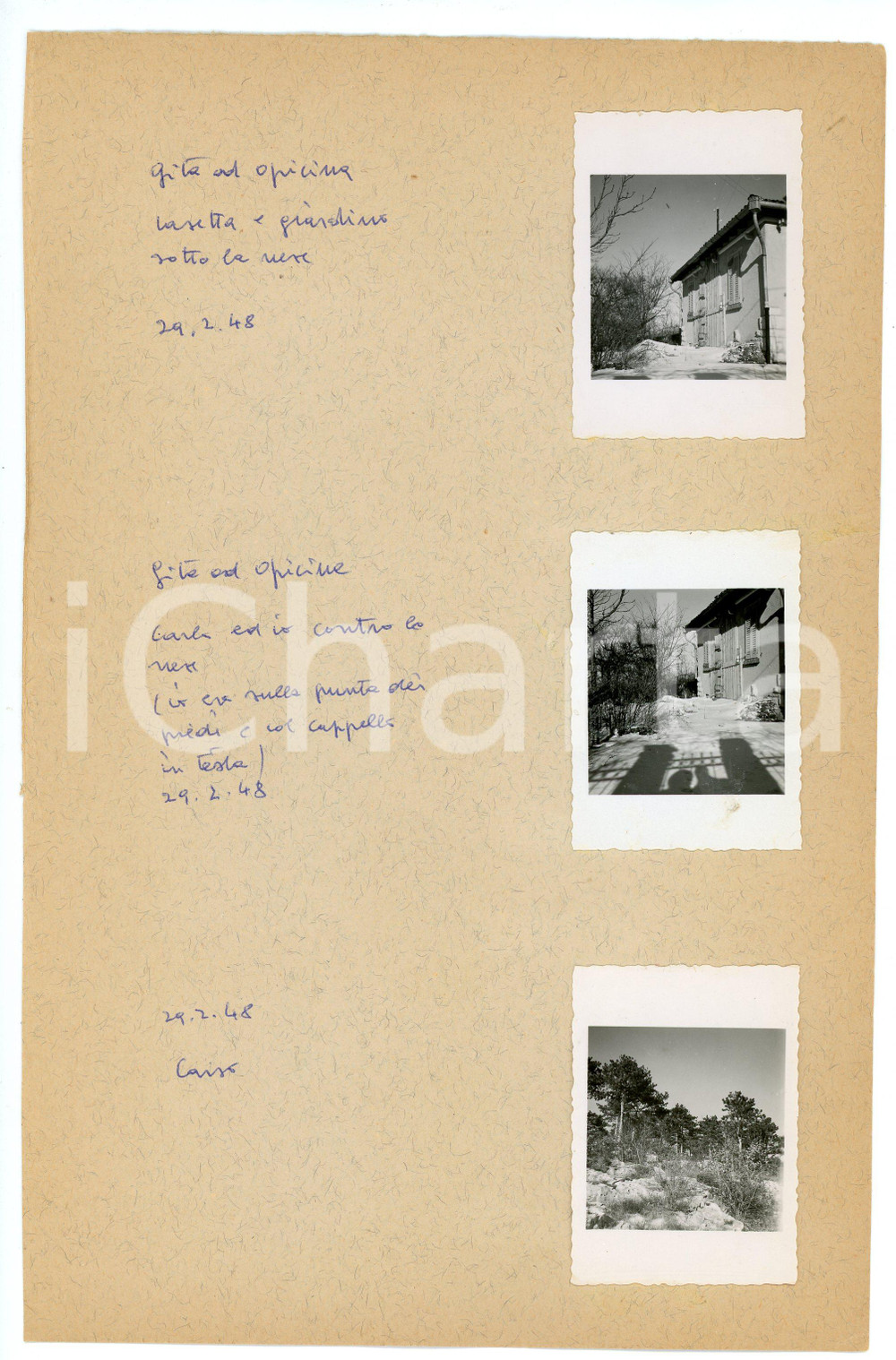 Fotografia d epoca originale Febbraio 1948 TRIESTE  OPICINA Casa e giardino sotto la neve  Lotto 3 provini 1