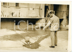 1958 TORINO - CRONACA NERA Luogo dell'omicidio-suicidio *Foto 18x13 cm
