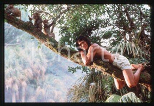 Jason Scott LEE - CINEMA "The Jungle Book" 1994 * 35 mm vintage slide 2
