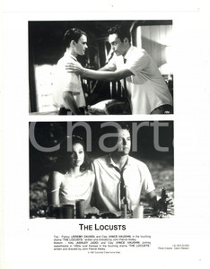 Fotografia d epoca originale 1997 CINEMA The Locusts  Vince VAUGHN Jeremy DAVIES Ashley JUDD  Foto 21x26 1