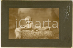1910 ca MILANO Ritratto di bambino su pellicciotto *Foto L. TOLLINI 20x13 cm