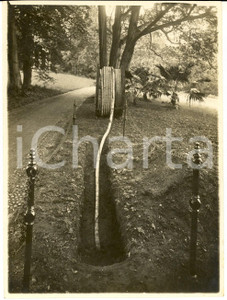 1927 COMO Esposizione Voltiana - Cavi nel parco di Villa Olmo *Foto 12x17 cm 