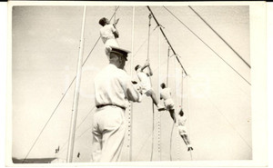 1950 ca ITALIA MARINA MILITARE Esercizi ginnici per gli allievi - Foto cartolina