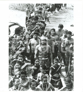 1989 CINEMA "Farewell to the King" Nick NOLTE tra gli indigeni *Foto 20x22 cm