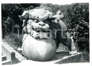 1968 TAIPEI (TAIWAN) Yuantong Temple - Lion statue *Photo 17x13 cm