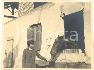 Fotografia d epoca originale 1926 CORSICO MI Donna con un cavallo in una cascina 4  Foto 11x8 cm 1
