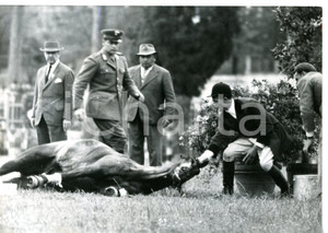 1959 ROMA Concorso Ippico - Cavallo BARSONY vittima di un grave incidente *Foto Fotografia d'epoca con didascalia coeva.  CONDIZIONI: FAIR (bassa qualit&agrave; di stampa e lieve ondulatura al margine superiore) FORMATO: 18x13 cm    originale e autentica 1