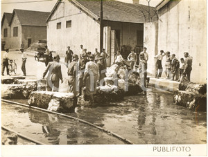 1953 GENOVA - VIGILI DEL FUOCO spengono incendio di balle di manilla (5) *Foto