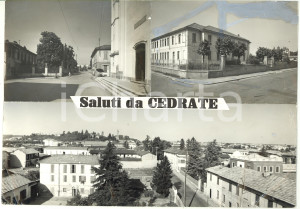 1970 ca CEDRATE / GALLARATE  Vedutine - Scuole  *Bozzetto per cartolina 30x21