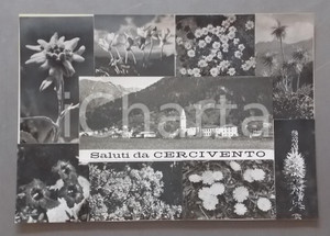 1965 ca. CERVIVENTO (UD) Pieve di San Martino *Bozzetto per cartolina 40x28 cm