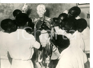 1962 LEOPOLDVILLE (KINSHASA) Giovani congolesi a lezione di anatomia *Foto 18x13