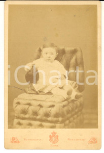 1880 ca ROMA Ritratto di bambino con un galletto - Foto MONTABONE 11x16 cm