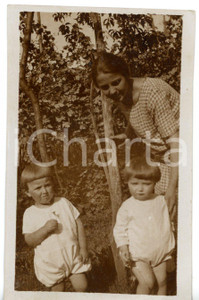 1920 ca ITALIA Giovane donna con gemelli in un bosco *Foto COSTUME 7x11 cm