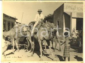 1940 ca A.O.I. DIRE DAUA (ETIOPIA) Ufficiale italiano su dromedario *Foto 24x18