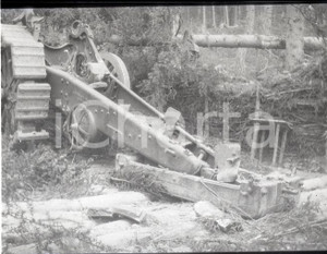 6X4cm NEGATIVO ORIGINALE *1915ca WW1 ESERCITO ITALIANO Affusto cannone distrutto   Negativo originale in bianco e nero (su pellicola), in formato cm 4 x 6 CONDIZIONI: FAIR (rozzamente rifilato) ICharta mette in vendita, sul negozio eBay e in esclusiva sul sito "icharta" il proprio archivio composto da numerose diapositive e negativi fotografici d'epoca, tutti originali e autentici, che attraversano la storia del costume italiano tra gli la fine degli anni Sessanta e Novanta.Si tratta di uno sguardo inedito sull'attualit&agrave;, la politica, la vita quotidiana, il gossip e la cultura, che fotografa il cambiamento della nazione in quest'ultimo scorcio del XX secolo. Un'occasione unica per il mercato del collezionismo, che vede finalmente disponibile un archivio eccezionale per vastit&agrave;, tematiche e condizioni, in un settore (il negativo fotografico e la diapositiva) di assoluta novit&agrave; e dalle interessanti prospettive di investimento.    originale e autentica 1