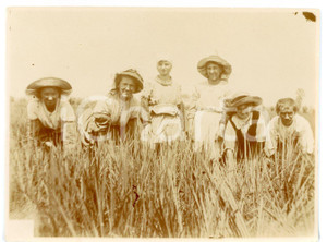 1921 NORD ITALIA Mondine al lavoro in una risaia *Fotografia 11x8 cm