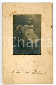1900 ca TORINO Ritratto di bambina su cavallo a dondolo *Foto A. COLOMBO - CDV