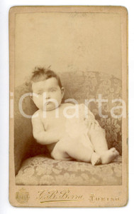 1900 ca TORINO Bambino di pochi mesi su un divano *Foto G. B. BERRA - CDV