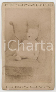 1880 ca GENOVA Ritratto di bambino in poltrona - Foto Francesco PONZETTI CDV