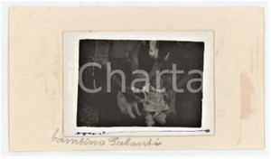 1941 MILANO Famiglia GALANTI - Neonato con gatto  - Foto VINTAGE 11x6 cm