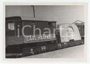 1950 ca GERMANIA Circo Carl HAGENBECK - Trasferta - Foto 9x7 cm