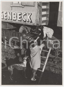 1950 ca GERMANY Circus HAGENBECK - Trasferta su ferrovia - Foto 13x18 cm  Fotografia originale d'epoca.FOTOGRAFO: Udo Hoffmann - Koln POOR/danneggiato piegature orizzontali Formato: 13x18 cm originale e autentica 1
