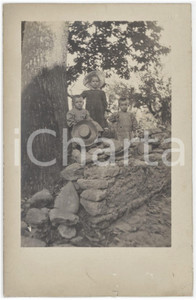 1920 ca FRANCE Tre fratelli bambini in un bosco *Foto anonima 9x14 cm