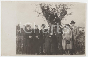 1930 ca ITALIA - COSTUME Foto di gruppo con uomo arrampicato su un gelso - 13x8