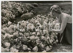 1960 ca PARIS AUTEUIL Exposition des azalées - Juene fille parmi les fleurs