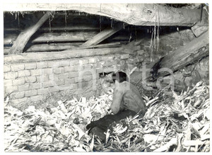 1954 TORINO - CRONACA NERA Nascondiglio dell'assassino Giuseppe RAGONE *Foto